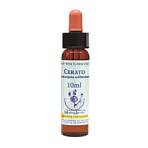 Picture of Cerato Bach Flower Remedy 10ml stock bottle