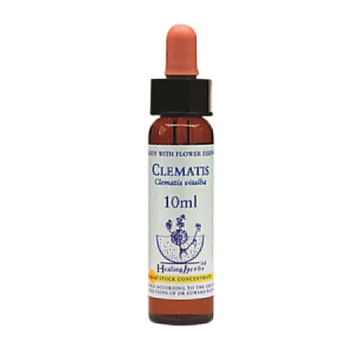 Picture of Clematis Bach Flower Remedy 10ml stock bottle