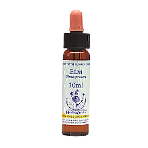 Picture of Elm Bach Flower Remedy 10ml stock bottle