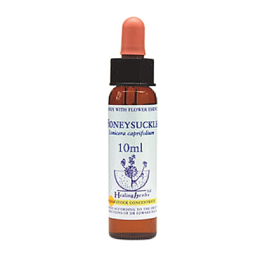 Picture of Honeysuckle Bach Flower Remedy 10ml stock bottle