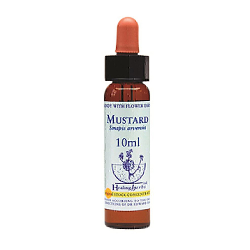Picture of Mustard Bach Flower Remedy 10ml stock bottle