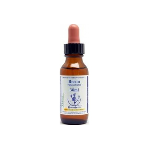 Picture of Beech Bach Flower Remedy 30ml stock bottle