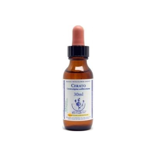 Picture of Cerato Bach Flower Remedy 30ml stock bottle