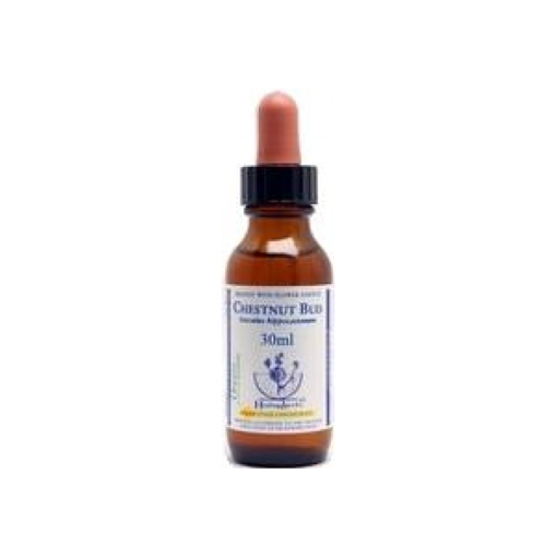 Picture of Chestnut Bud Bach Flower Remedy 30ml stock bottle