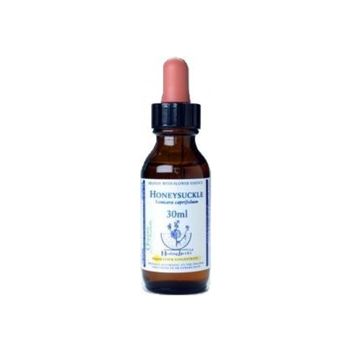 Picture of Honeysuckle Bach Flower Remedy 30ml stock bottle