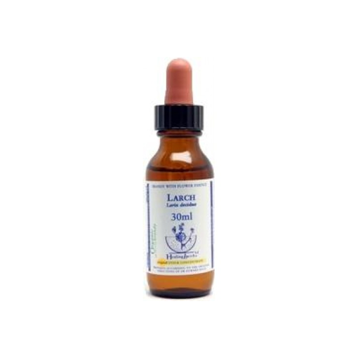 Picture of Larch Bach Flower Remedy 30ml stock bottle