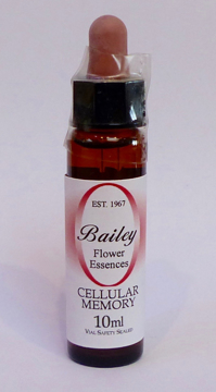 Cellular Memory Bailey Composite Flower Essence - 10ml Stock bottle 10ml dropper bottle of the Bailey Essence 'Cellular Memory' against a white background