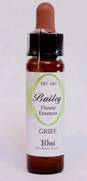 Grief Bailey Composite Flower Essence - 10ml Stock bottle 10ml dropper bottle of the Bailey Essence 'Grief' against a white background