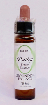 Grounding Bailey Composite Flower Essence - 10ml Stock bottle 10ml dropper bottle of the Bailey Essence 'Grounding' against a white background