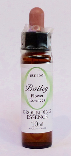 10ml dropper bottle of the Bailey Essence 'Grounding' against a white background