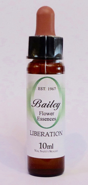 Liberation Bailey Composite Flower Essence - 10ml Stock bottle 10ml dropper bottle of the Bailey Essence 'Liberation' against a white background