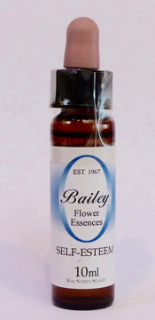 Self Esteem Bailey Composite Flower Essence - 10ml Stock bottle 10ml dropper bottle of the Bailey Essence 'Self Esteem' against a white background