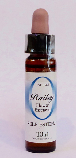 10ml dropper bottle of the Bailey Essence 'Self Esteem' against a white background
