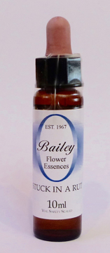 Stuck in a Rut Bailey Composite Flower Essence - 10ml Stock bottle 10ml dropper bottle of the Bailey Essence 'Stuck in a Rut' against a white background