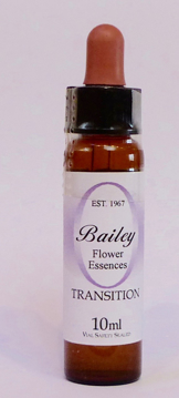 Transition Bailey Composite Flower Essence - 10ml Stock bottle 10ml dropper bottle of the Bailey Essence 'Transition' against a white background