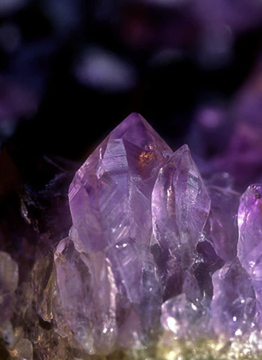 Brazilian Amethyst Brazilian Amethyst - Alaskan Gem Elixir