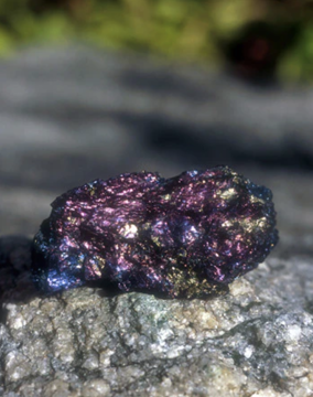 Covellite Covellite - Alaskan Gem Elixir