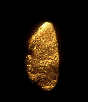 Gold Gold - Alaskan Gem Elixir
