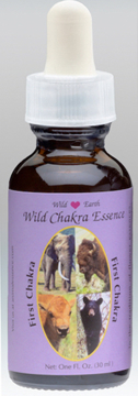 Wild Earth first Chakra Essence Combination Single bottle of the Wild Earth combination 'First Chakra' with a purple label showing the animals Buffalo, Buffalo Calf, Elephant and Bear.