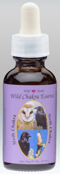 Wild Earth first Chakra Essence Combination Single bottle of the Wild Earth combination 'Sixth Chakra' with a purple label showing the animals Owl, Hawk, Raven, and Crow.