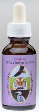 Wild Earth Seventh Chakra Essence Combination Single bottle of the Wild Earth combination 'Seventh Chakra' with a purple label showing the animals Eagle, Tiger, and Great Blue Heron