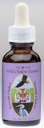 Single bottle of the Wild Earth combination 'Seventh Chakra' with a purple label showing the animals Eagle, Tiger, and Great Blue Heron