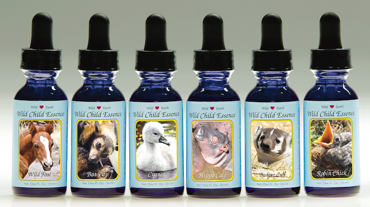 Show products in category Set#2 Inner Child Healing Essences Picture for category Set#2 Inner Child Healing Essences