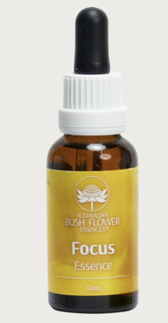 Focus Focus Australian Bush Flower Essence Combination