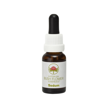 Sedum Australaian Bush Flower Essence 15ml brown dropper bottle of Sedum australian Bush Flower Essence