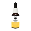 Bossy Boots Remedy Bush Essence Combination 30ml