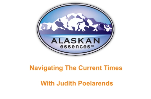 Picture of Navigating The Current Times class