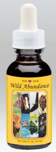 Picture of Wild Abundance - Wild Earth Essence Combination